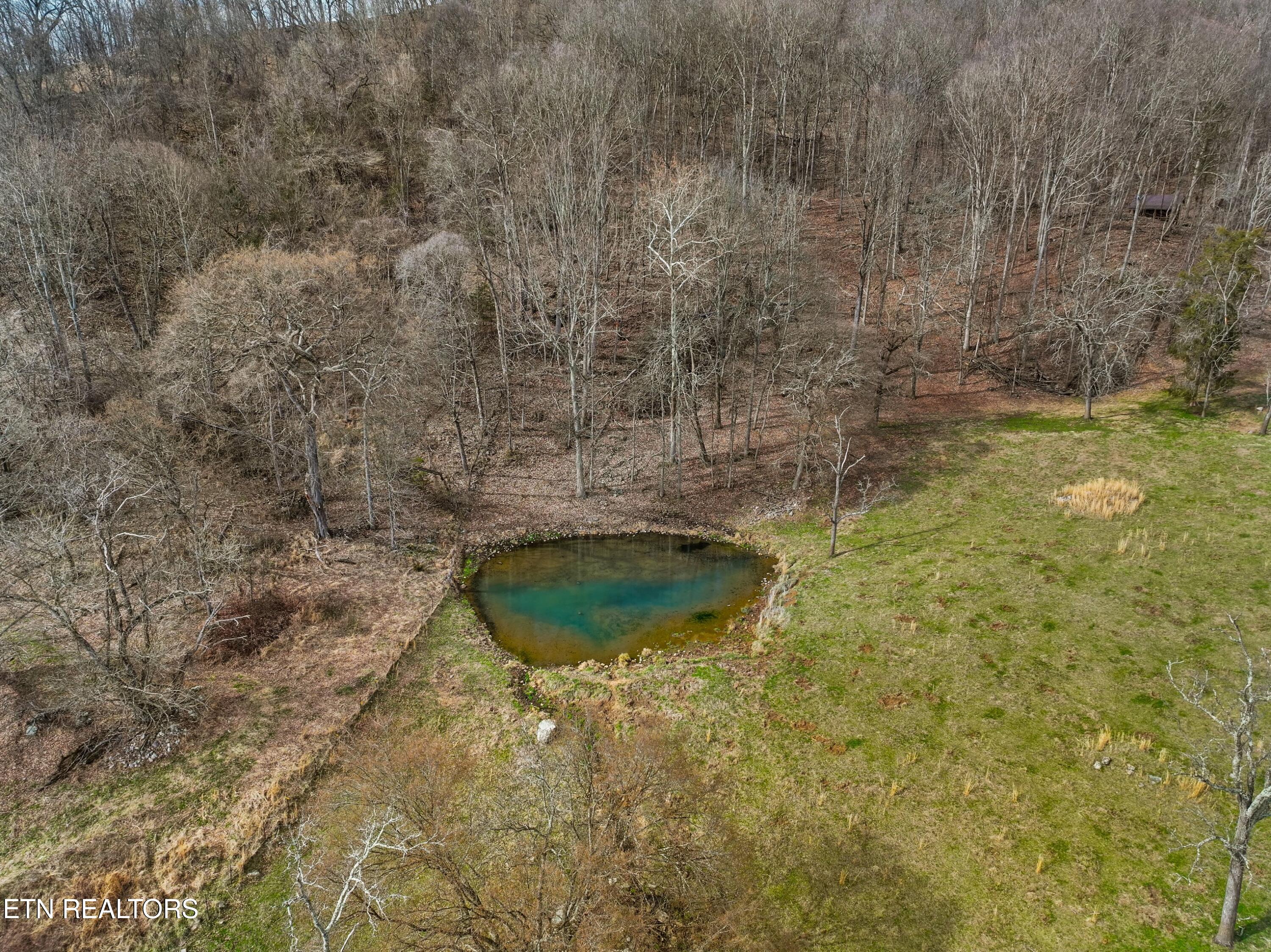 2218 Rebel Hollow Road Tazewell, TN 37879 - Photo 4 of 59 058-2218RebelHollowRoad-Tazewell-TN-3787