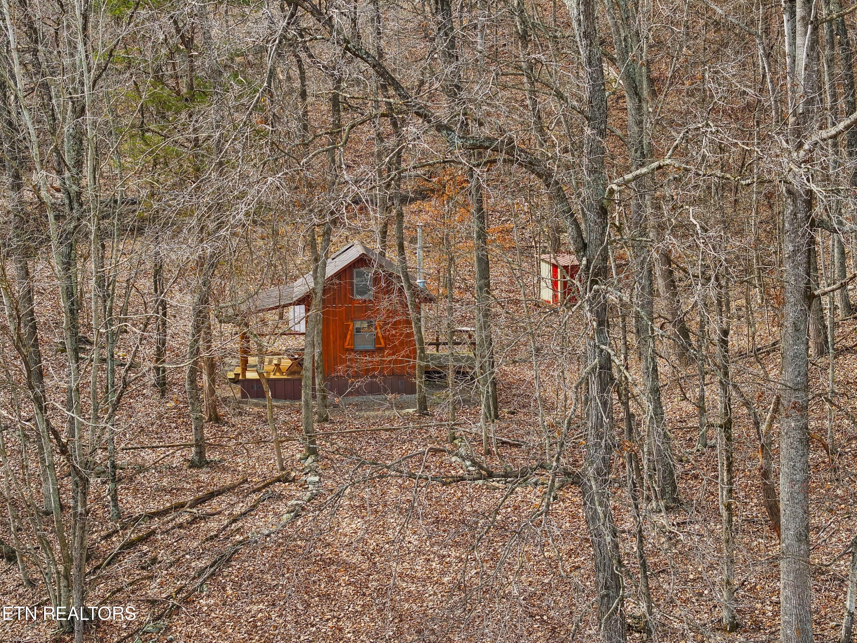 2218 Rebel Hollow Road Tazewell, TN 37879 - Photo 48 of 59 051-2218RebelHollowRoad-Tazewell-TN-3787