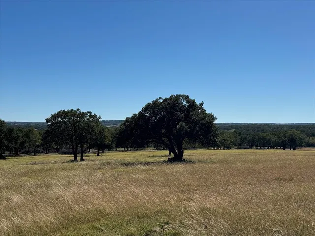 a view of a field with mountains in the background