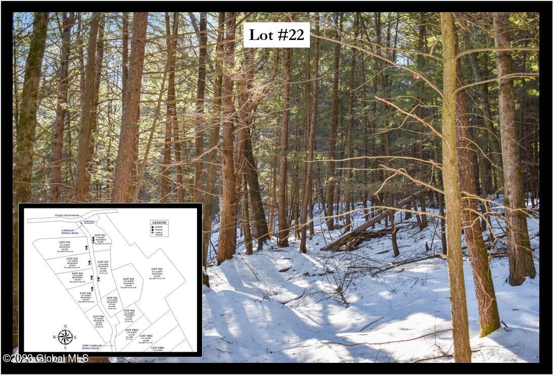 22 Carriage Road Chestertown, NY 12817 - Photo 1 of 18 Cover Framed Lot #22