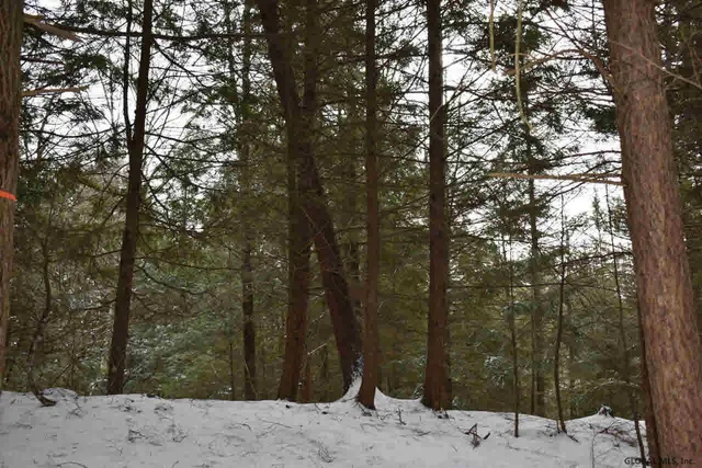 $39,500 | 22 Carriage Road, Chestertown, NY 12817