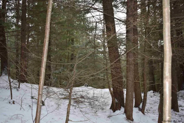 $39,500 | 22 Carriage Road, Chestertown, NY 12817