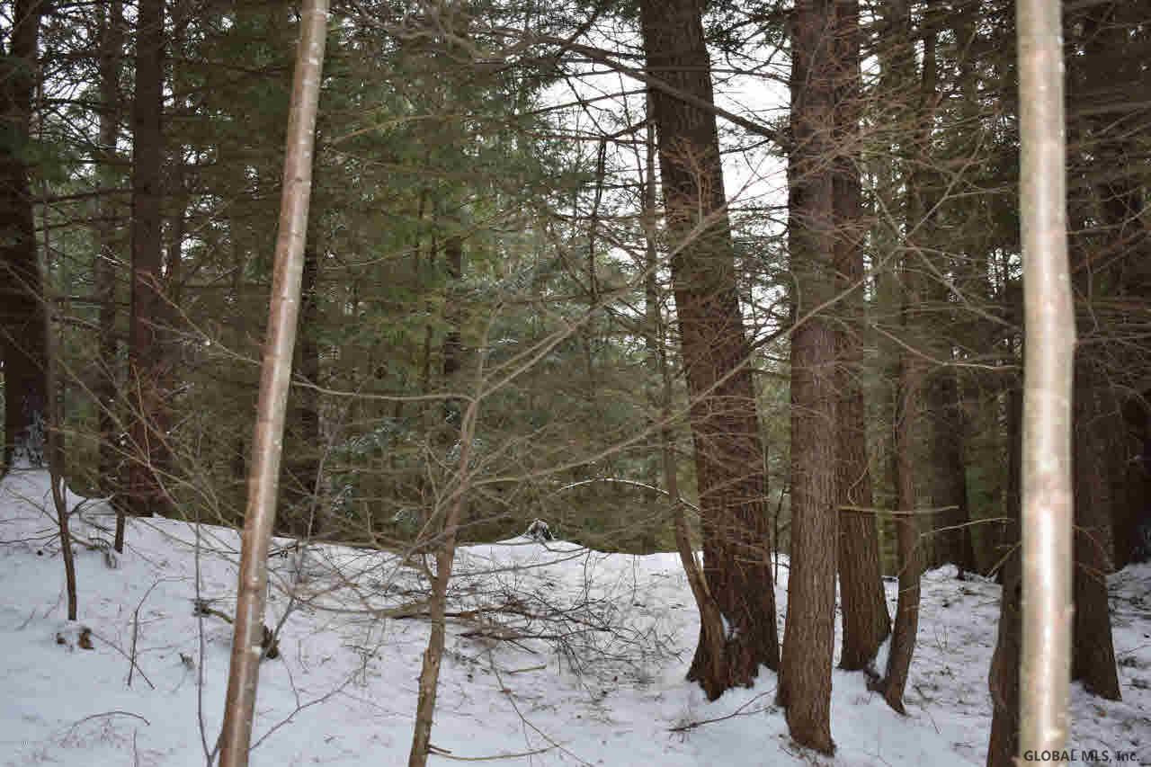 22 Carriage Road Chestertown, NY 12817 - Photo 12 of 18 Photo 12