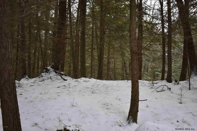 $39,500 | 22 Carriage Road, Chestertown, NY 12817