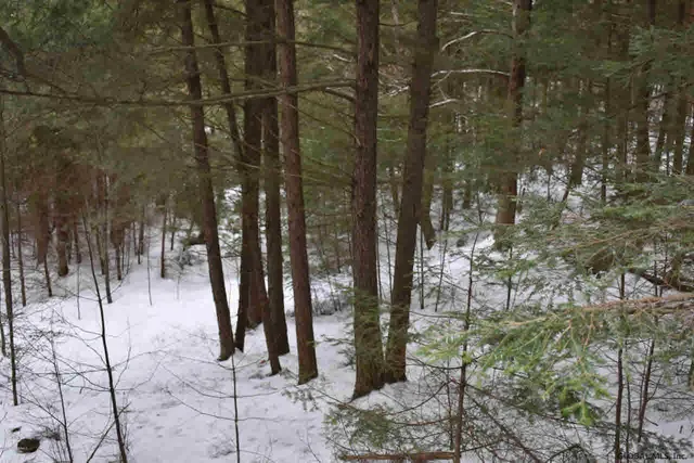 $39,500 | 22 Carriage Road, Chestertown, NY 12817