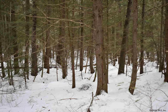 $39,500 | 22 Carriage Road, Chestertown, NY 12817