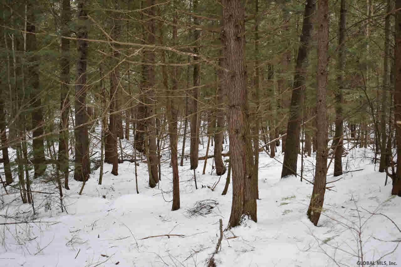 22 Carriage Road Chestertown, NY 12817 - Photo 15 of 18 Photo 15