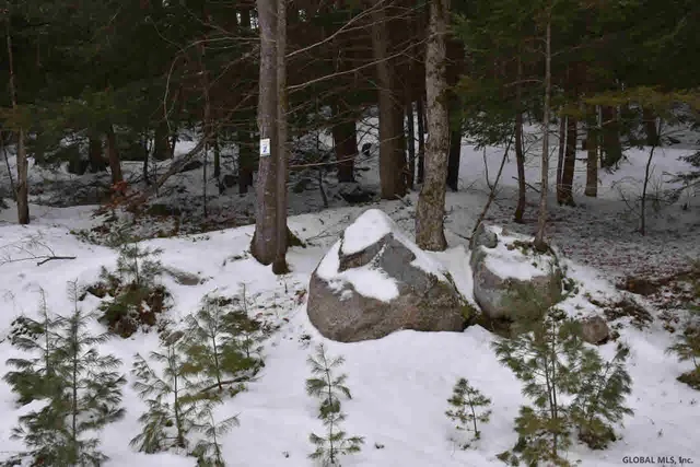 $39,500 | 22 Carriage Road, Chestertown, NY 12817