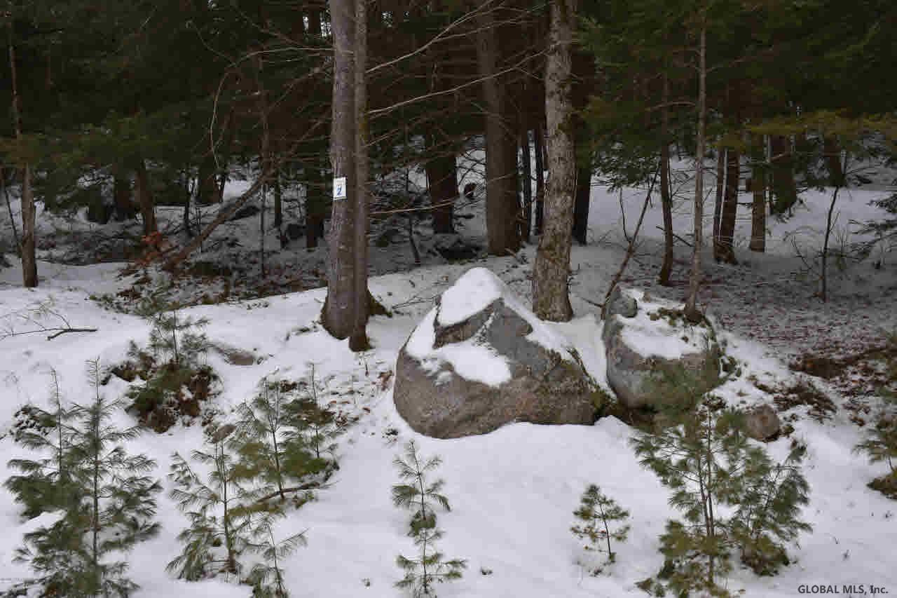 22 Carriage Road Chestertown, NY 12817 - Photo 16 of 18 Photo 16