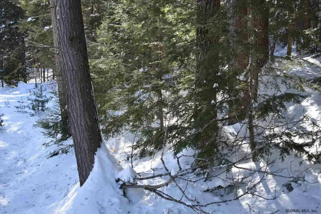 $39,500 | 22 Carriage Road, Chestertown, NY 12817