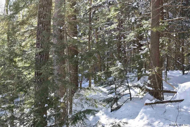 $39,500 | 22 Carriage Road, Chestertown, NY 12817