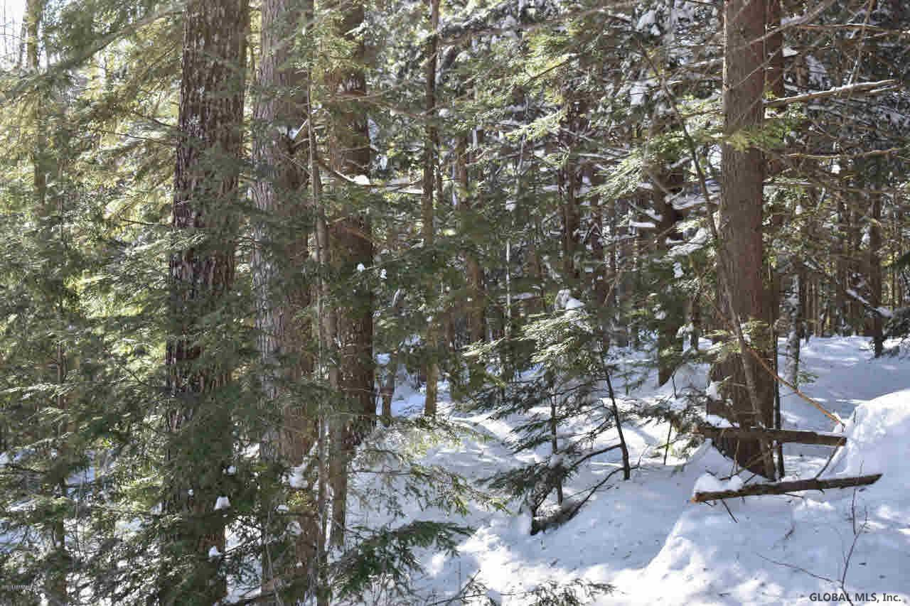 22 Carriage Road Chestertown, NY 12817 - Photo 18 of 18 Photo 18