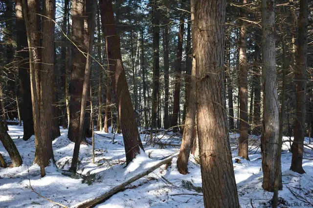 $39,500 | 22 Carriage Road, Chestertown, NY 12817