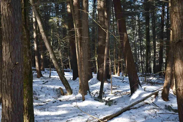 $39,500 | 22 Carriage Road, Chestertown, NY 12817