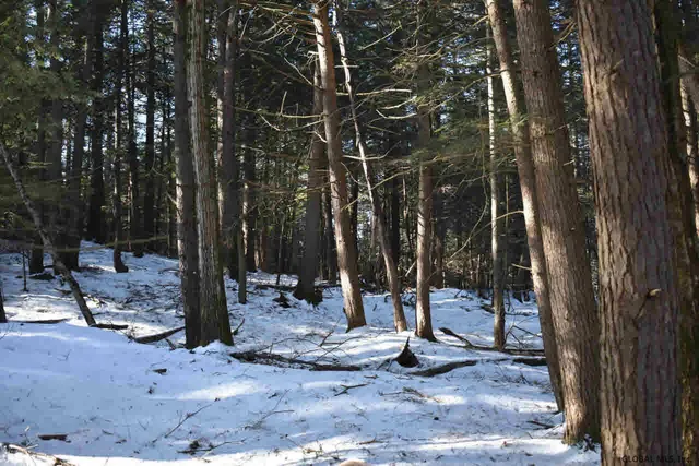 $39,500 | 22 Carriage Road, Chestertown, NY 12817