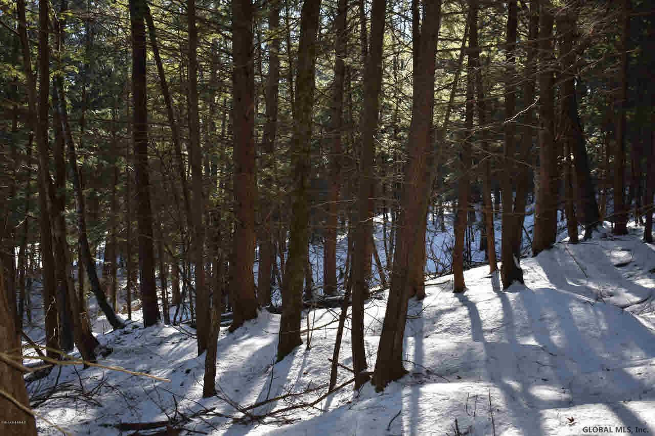 22 Carriage Road Chestertown, NY 12817 - Photo 7 of 18 Photo 7