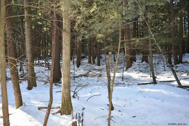 $39,500 | 22 Carriage Road, Chestertown, NY 12817