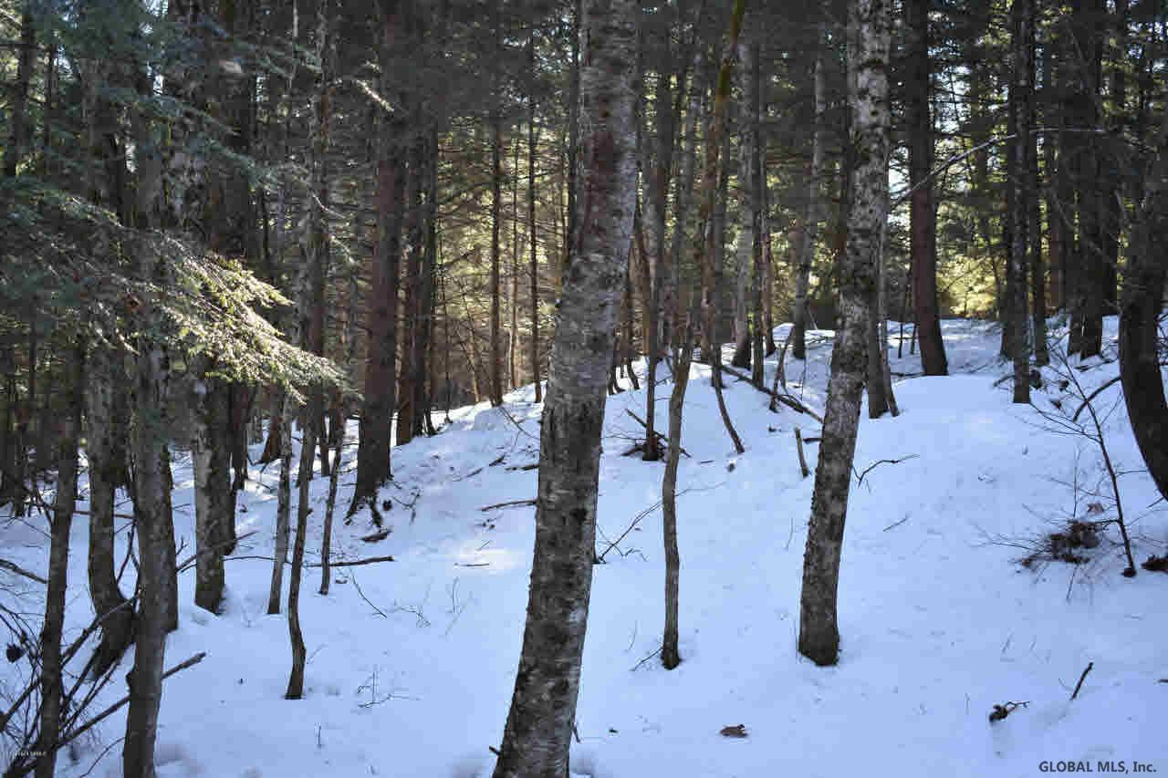 22 Carriage Road Chestertown, NY 12817 - Photo 9 of 18 Photo 9