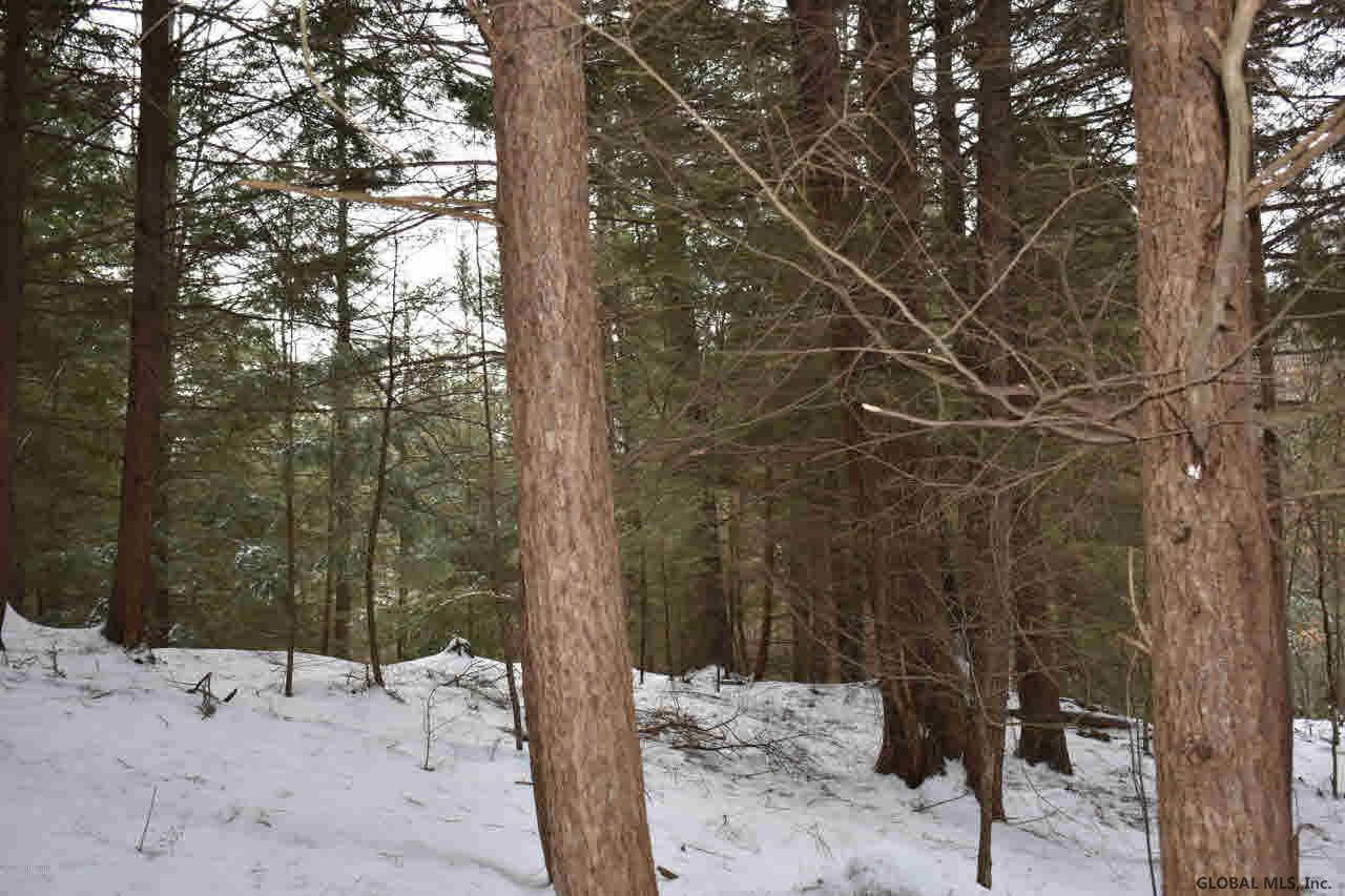 22 Carriage Road Chestertown, NY 12817 - Photo 10 of 18 Photo 10