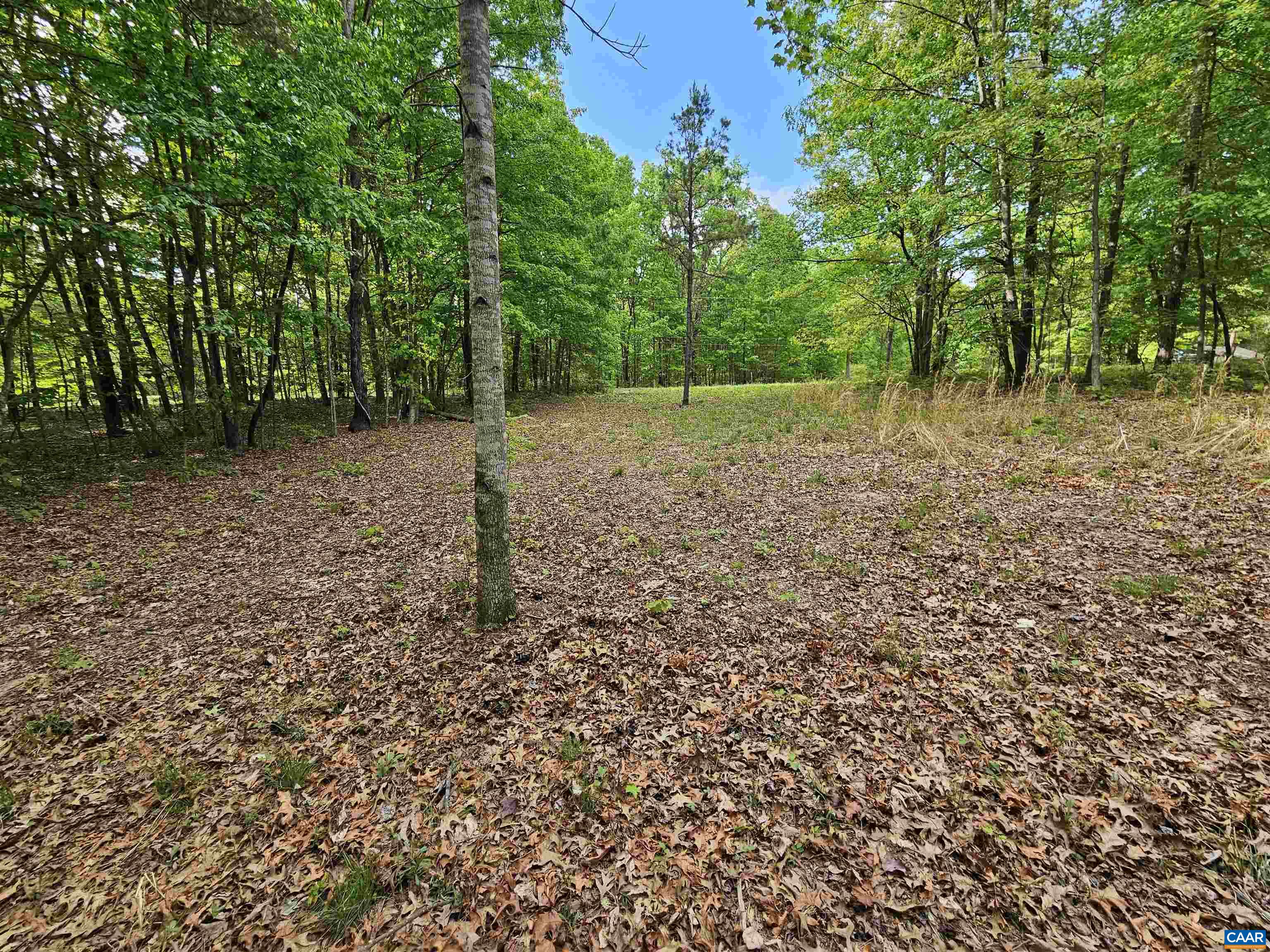 8.65-ac Pond Road Buckingham, VA 23921 - Photo 8 of 23 Gallery Image 8