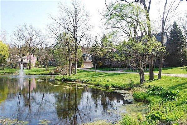4949 Orion Road Rochester, MI 48306 - Photo 20 of 24 Beautiful stocked pond