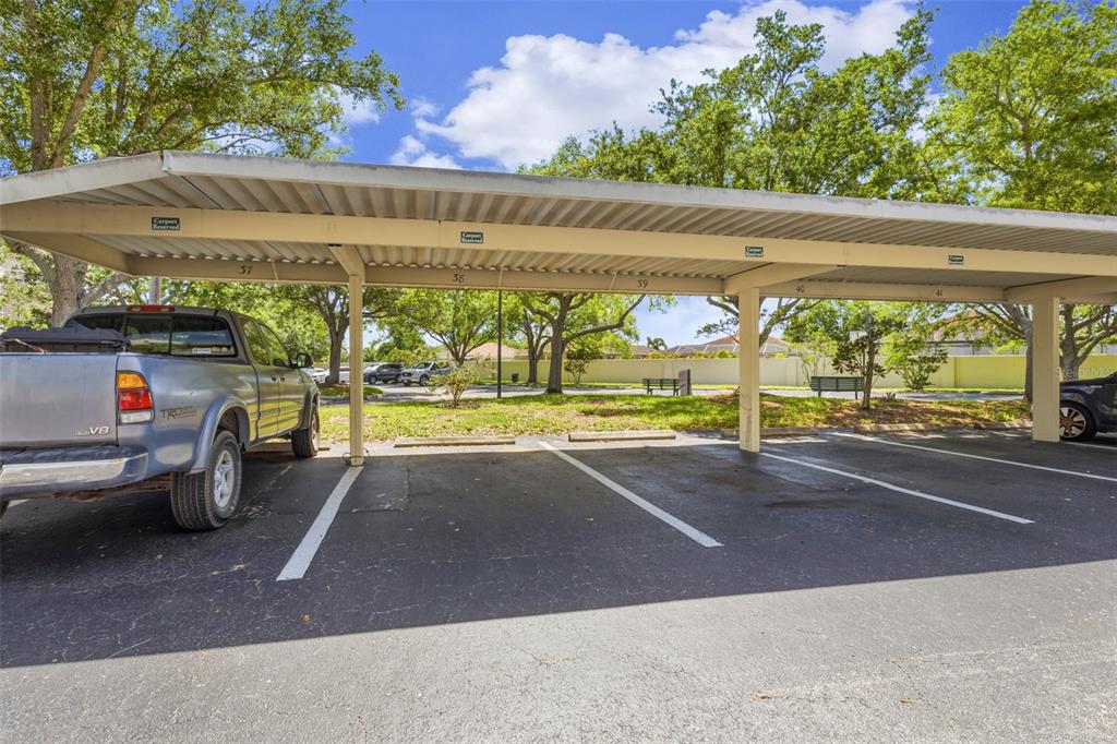 5180 Northridge Road, Unit 110 Sarasota, FL 34238 - Photo 5 of 50 Gallery Image 5