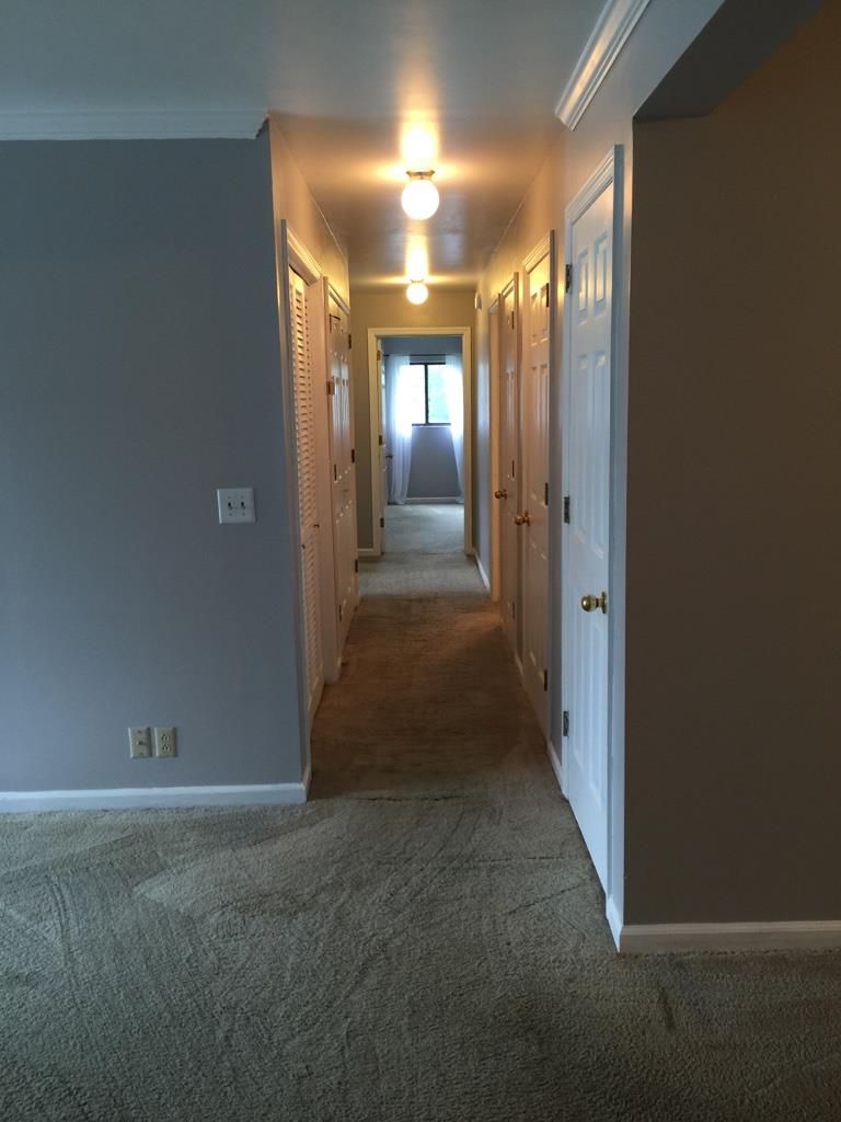115 Hicks Road Nashville, TN 37221 - Photo 5 of 14 Gallery Image 5