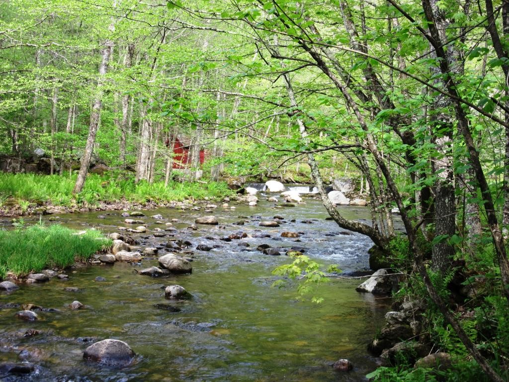 117 River Road Chittenden, VT 05763 - Photo 3 of 29