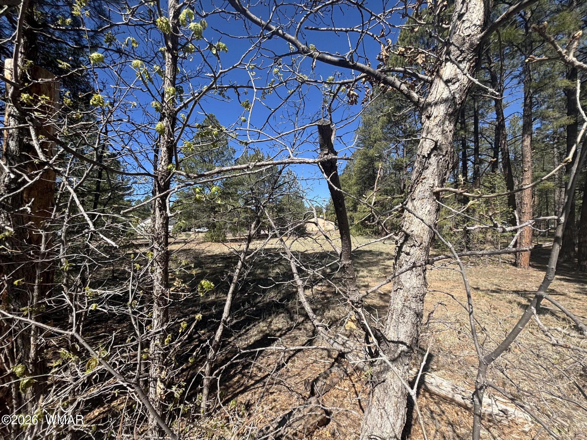 2331 Homestead Road, Unit 35 Lakeside, AZ 85929 - Photo 25 of 31 IMG_8098