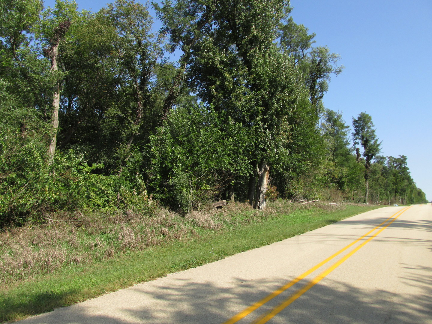 0 Sublette Road Sublette, IL 61310 - Photo 37 of 53 Gallery Image 37