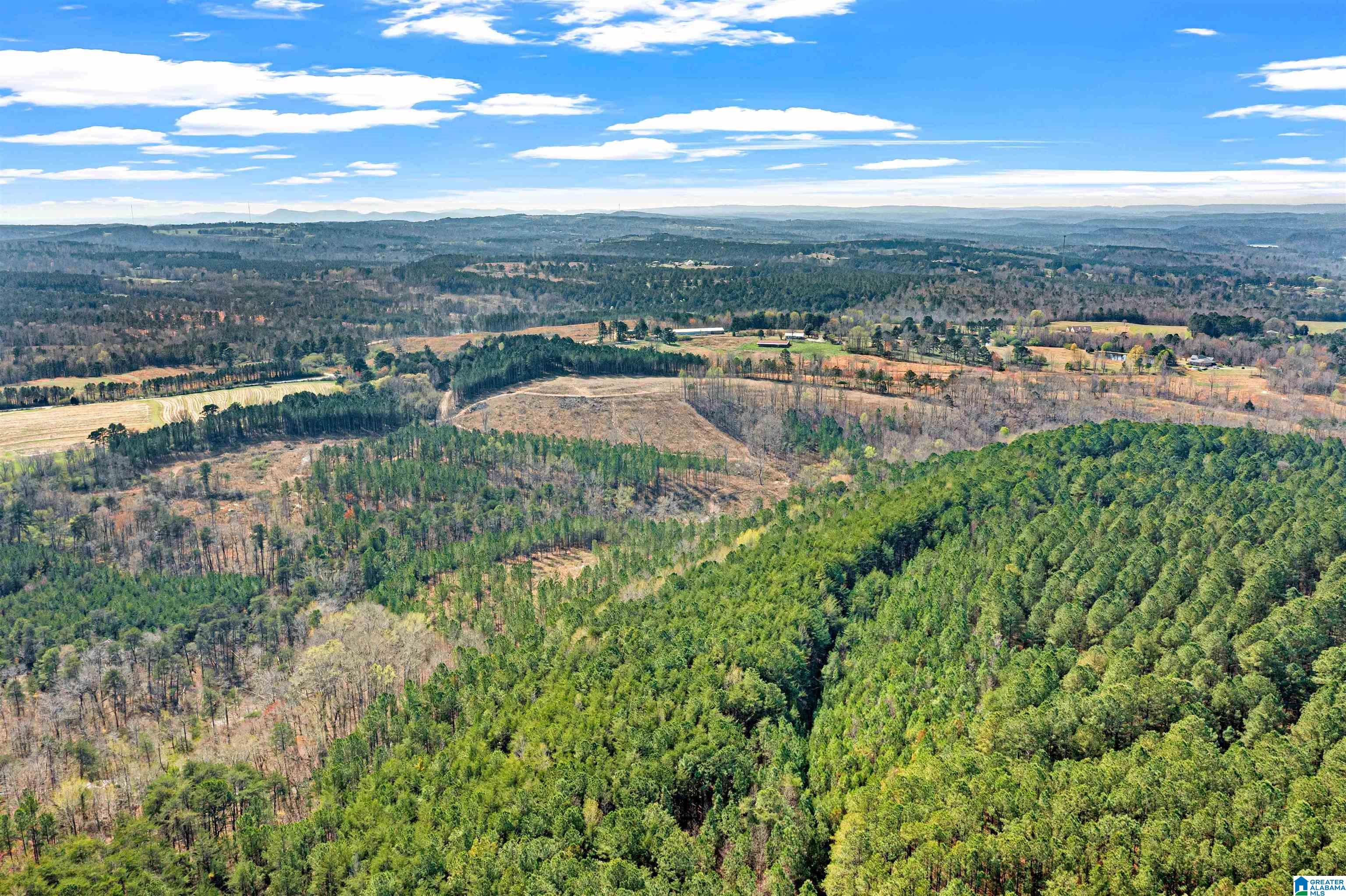 0 Frost Road, Unit 100 / ACRES Springville, AL 35146 - Photo 39 of 60