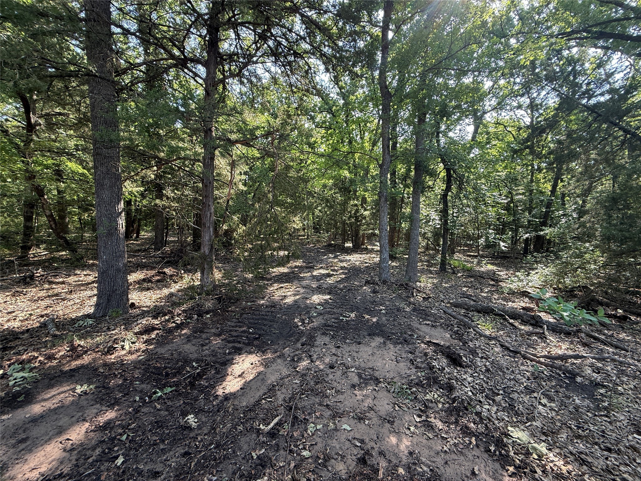 2 Fcr 611 Teague, TX 75860 - Photo 3 of 8