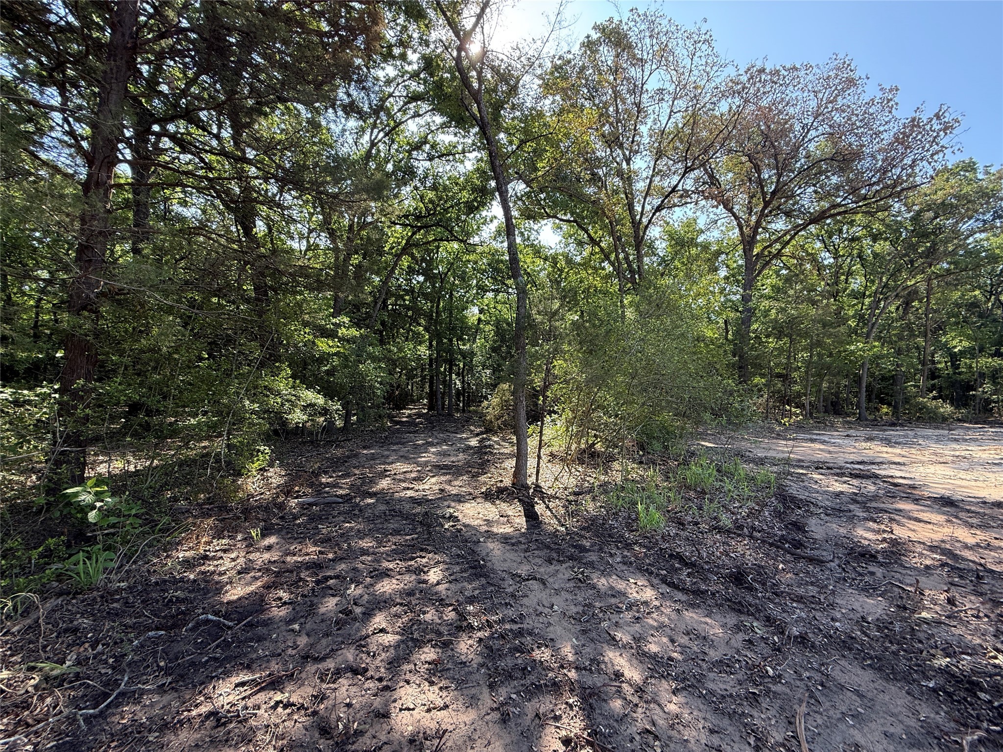 2 Fcr 611 Teague, TX 75860 - Photo 5 of 8