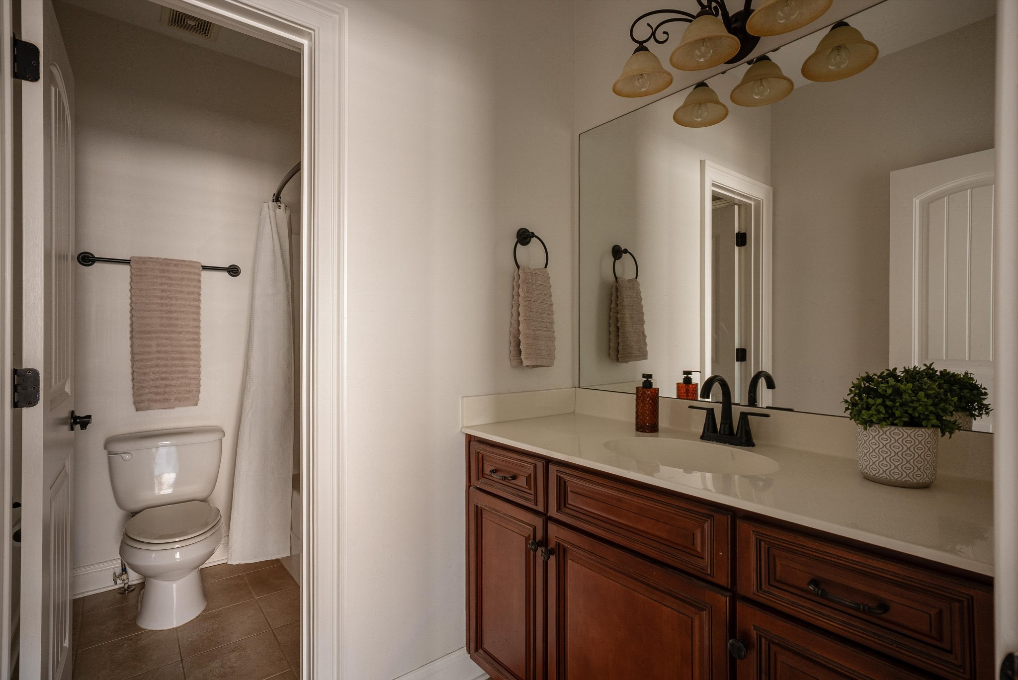 1058 Alice Springs Circle Spring Hill, TN 37174 - Photo 43 of 54 a bathroom with a granite countertop sink a toilet and a mirror