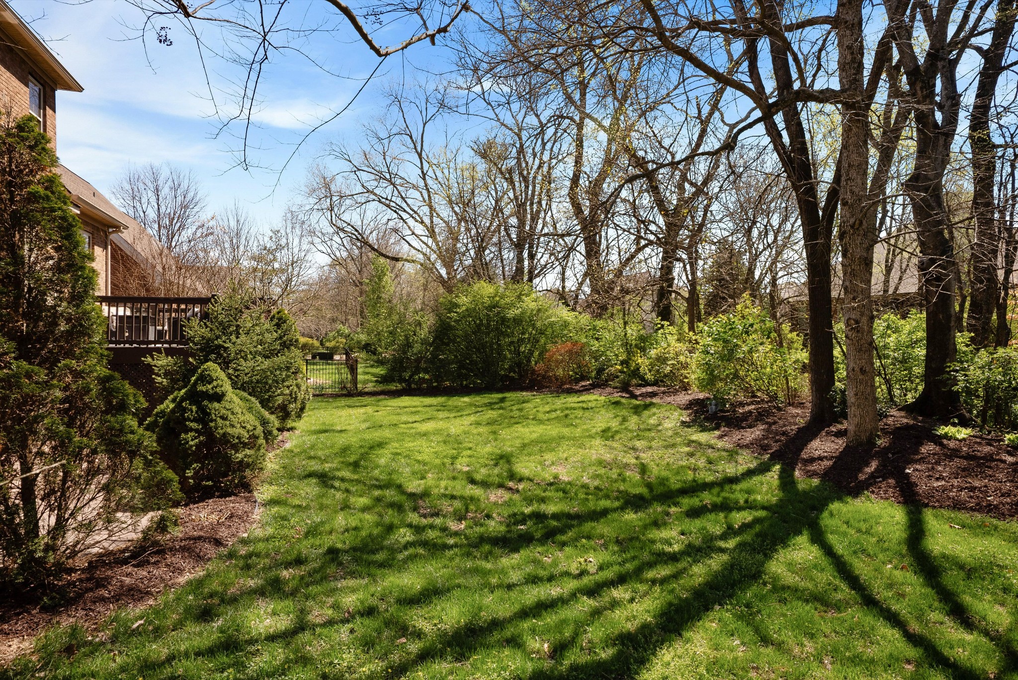 1058 Alice Springs Circle Spring Hill, TN 37174 - Photo 50 of 54 a big yard with lots of green space