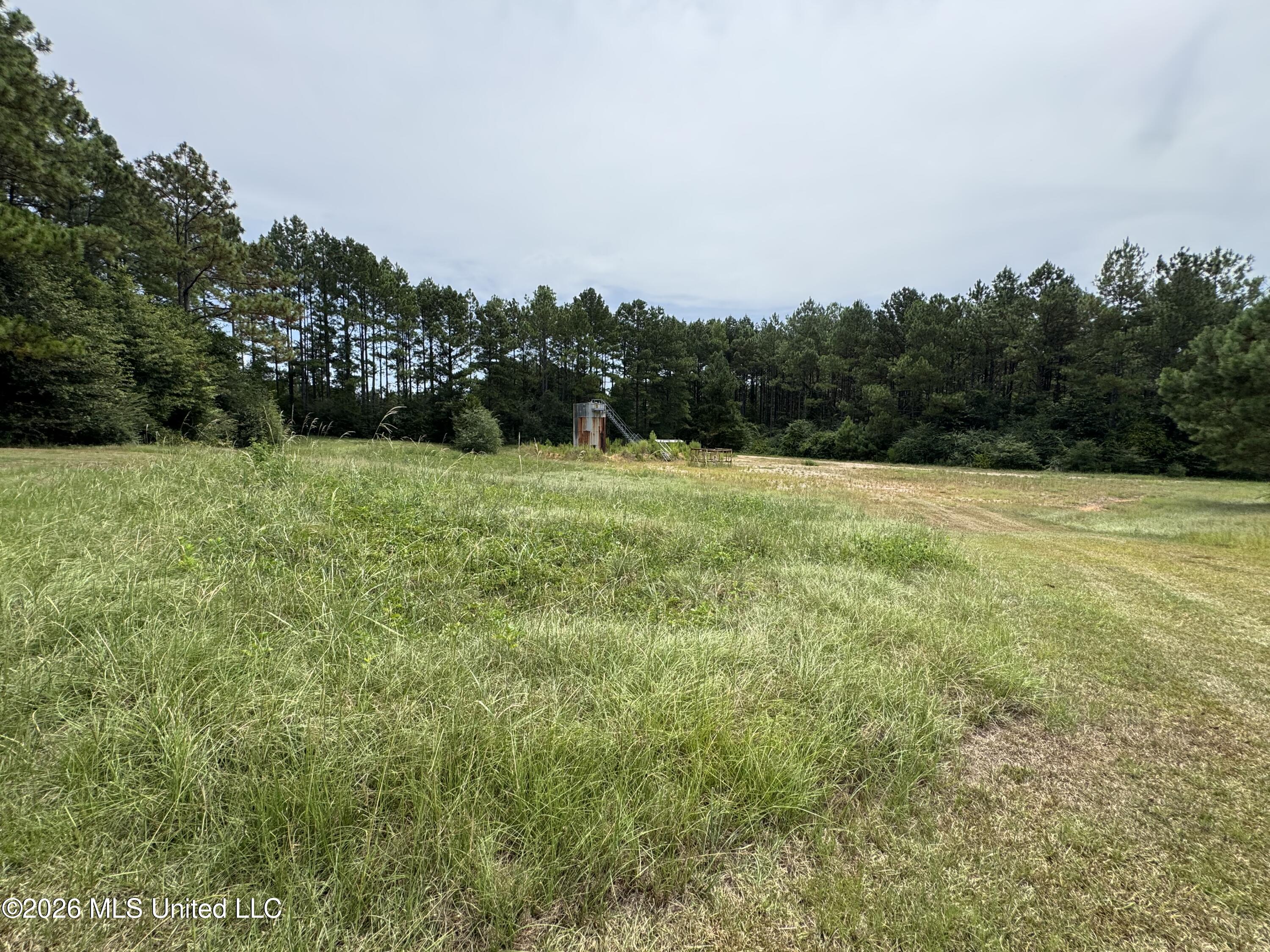 375 Ms-13 Wiggins, MS 39577 - Photo 23 of 25 IMG_5604