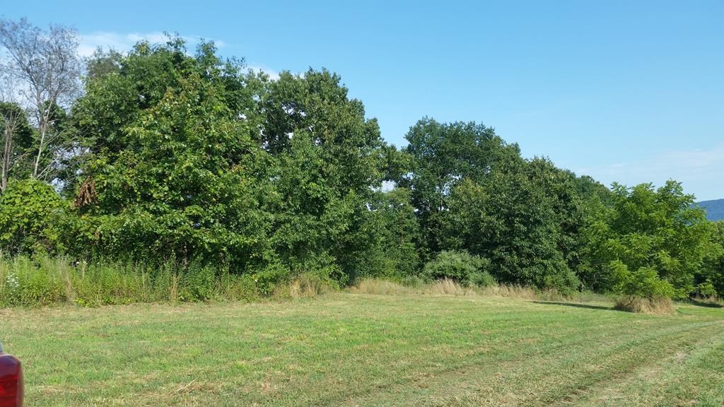 Lot 3 Berley Road Huntingdon, PA 16652 - Photo 1 of 1 Gallery Image 1