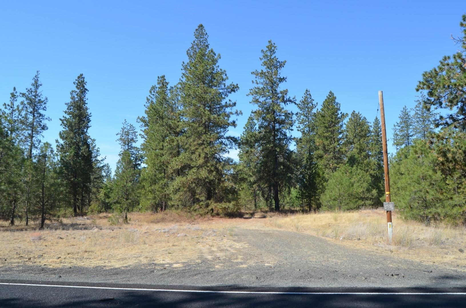 30710 South Mullinix Road Cheney, WA 99004 - Photo 2 of 16