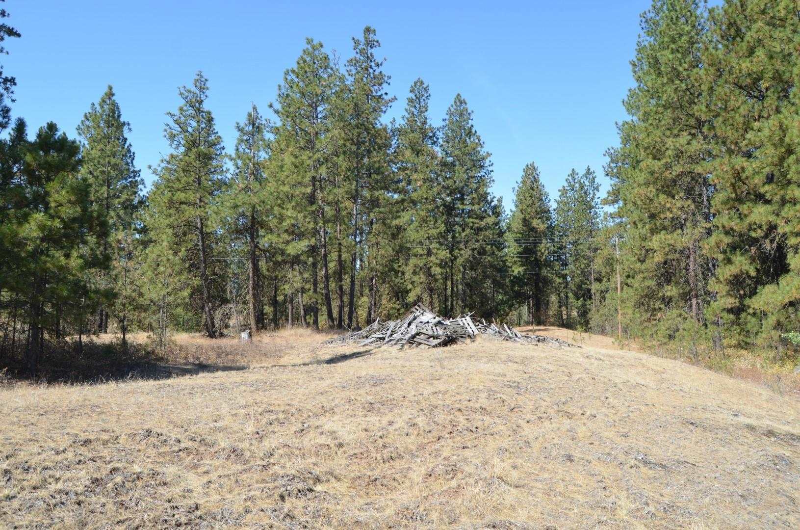 30710 South Mullinix Road Cheney, WA 99004 - Photo 13 of 16