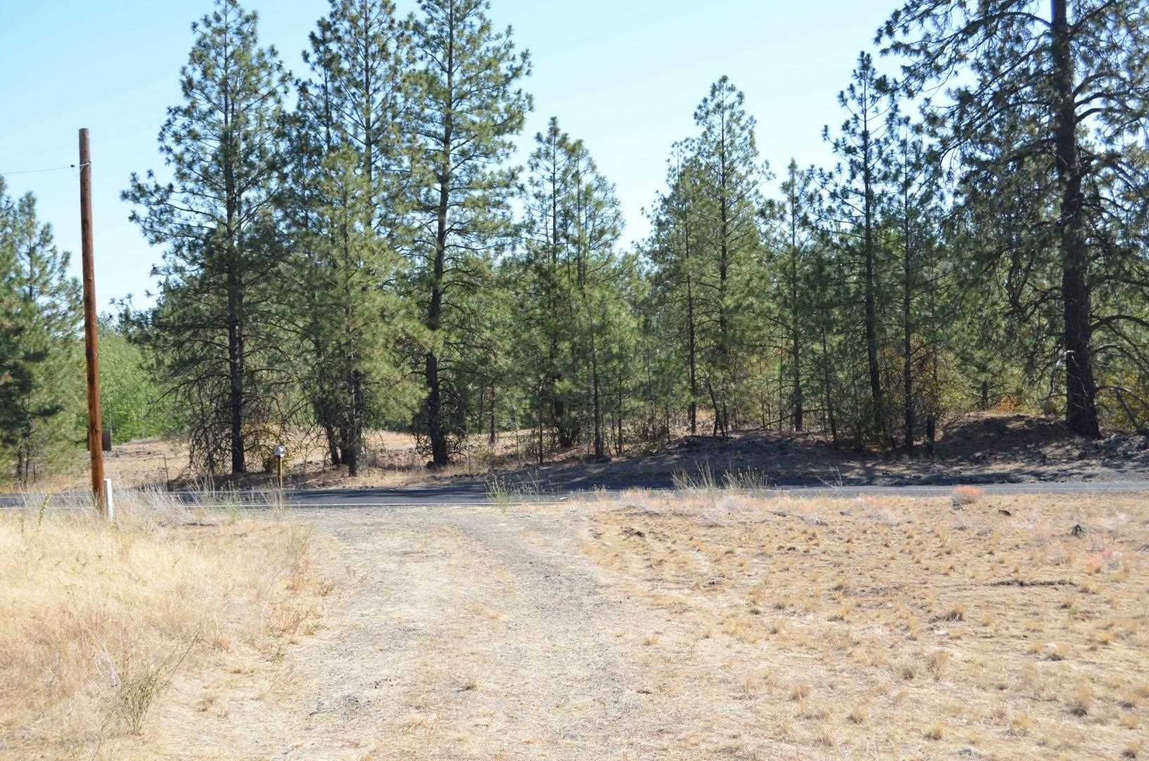 30710 South Mullinix Road Cheney, WA 99004 - Photo 16 of 16