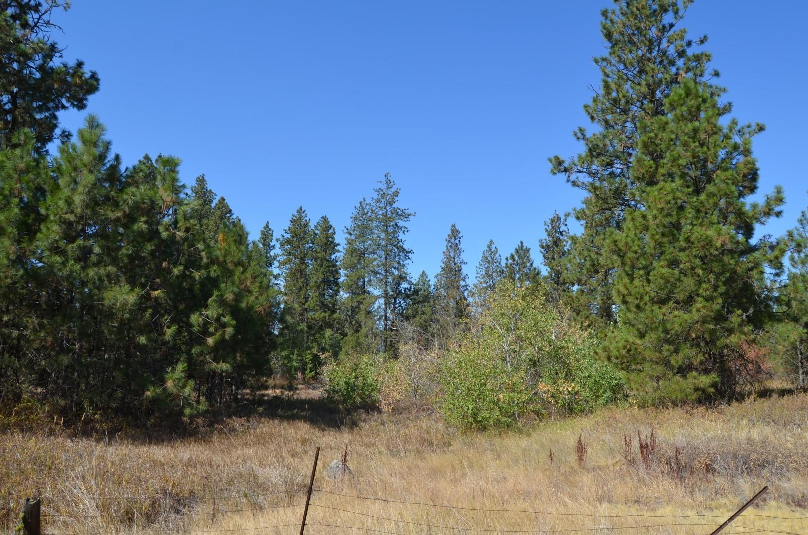 30710 South Mullinix Road Cheney, WA 99004 - Photo 8 of 16
