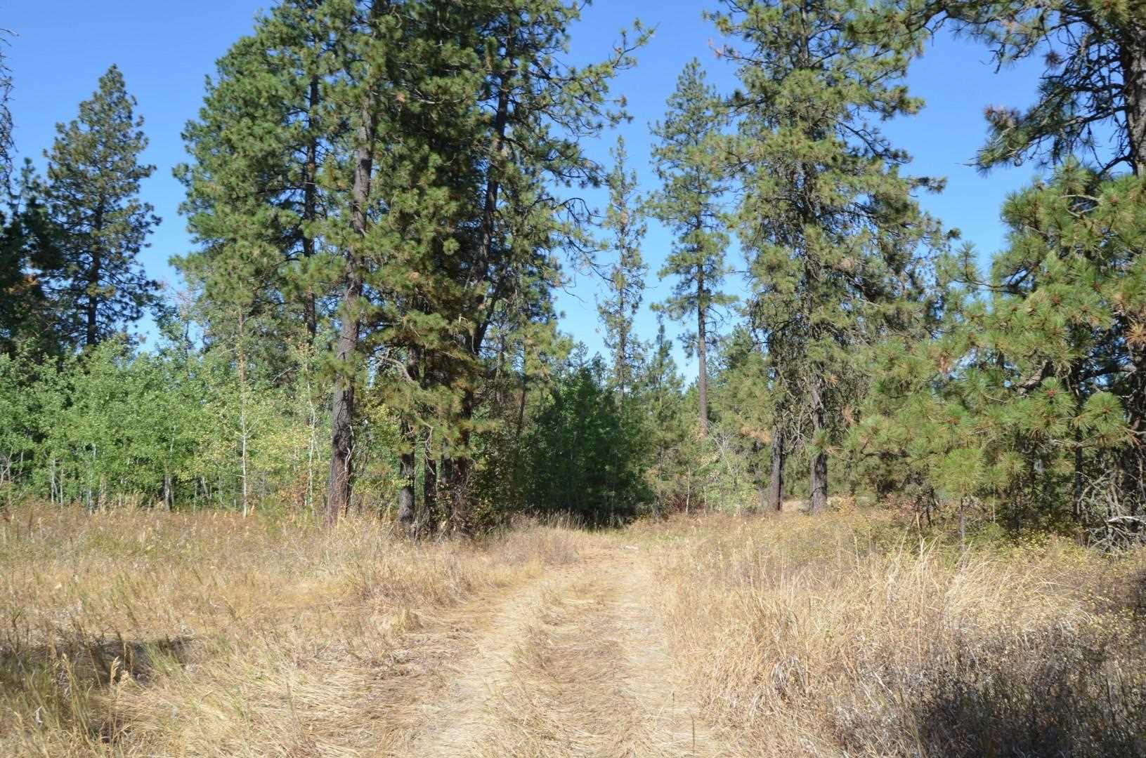 30710 South Mullinix Road Cheney, WA 99004 - Photo 9 of 16