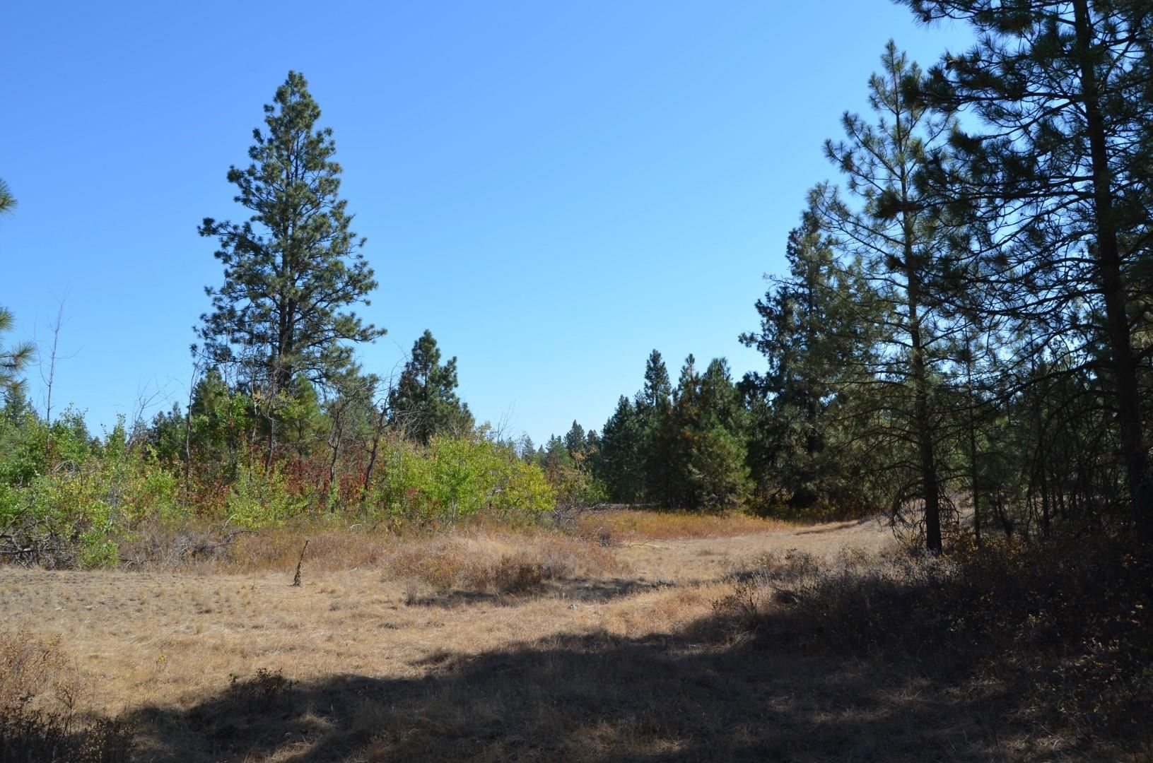 30710 South Mullinix Road Cheney, WA 99004 - Photo 10 of 16