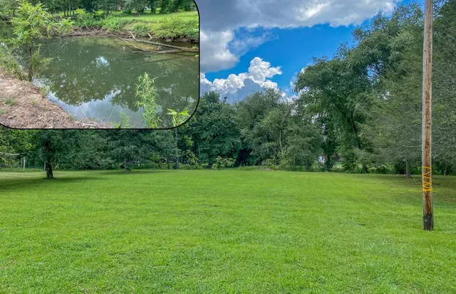 a view of a field of grass and trees