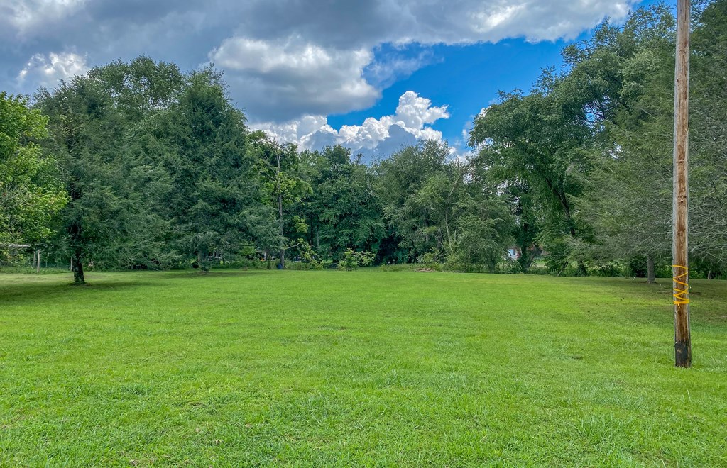 Lot 5 Little Ranger Road Murphy, NC 28906 - Photo 2 of 8 a view of a field of grass and trees