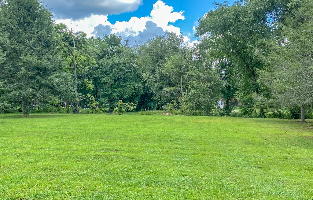 Lot 5 Little Ranger Road Murphy, NC 28906 - Photo 3 of 8 a view of field with trees in the background