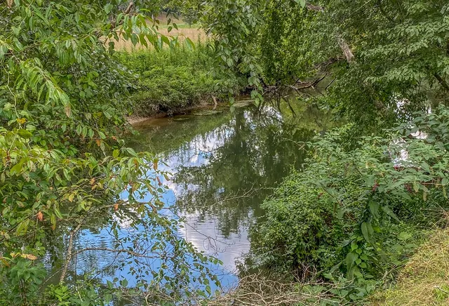 a view of a green field with trees