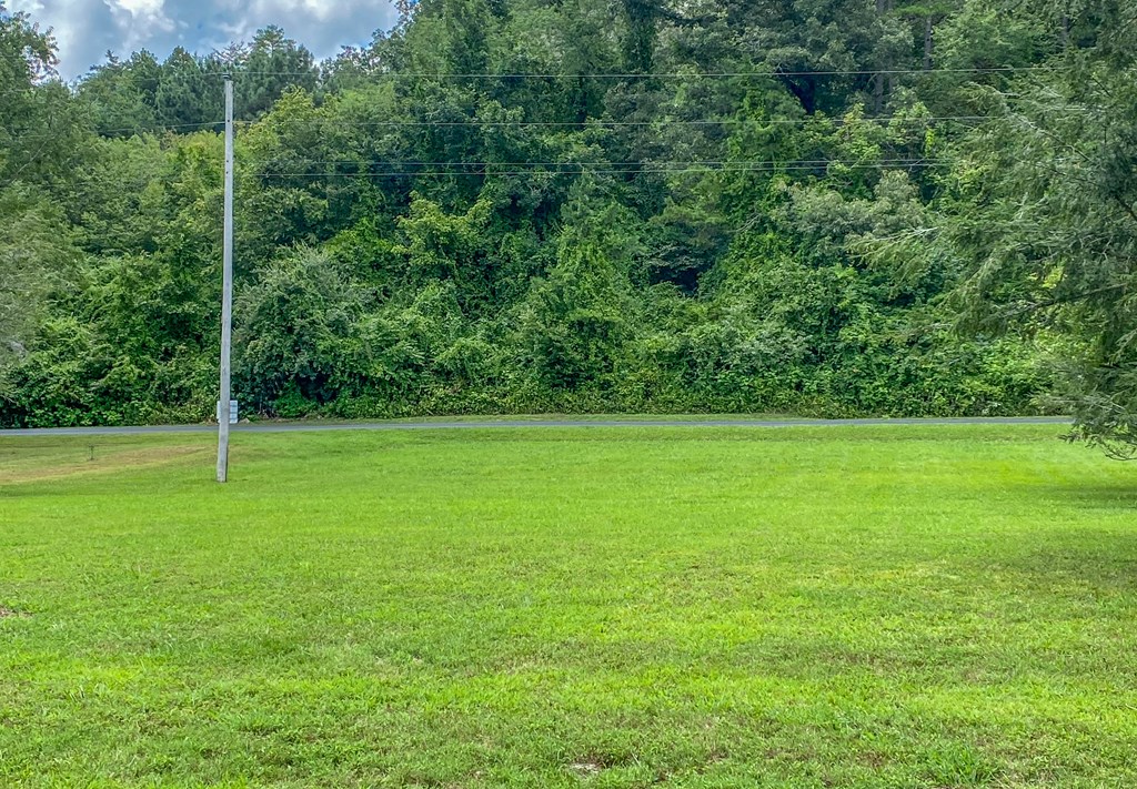 Lot 5 Little Ranger Road Murphy, NC 28906 - Photo 6 of 8 a view of a green field with trees