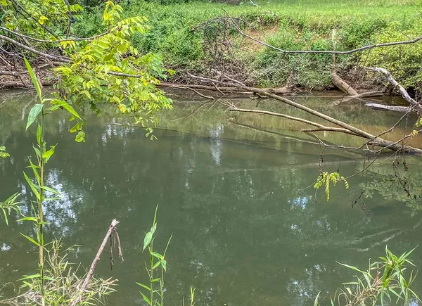 $54,750 | Lot 5 Little Ranger Road, Murphy, NC 28906