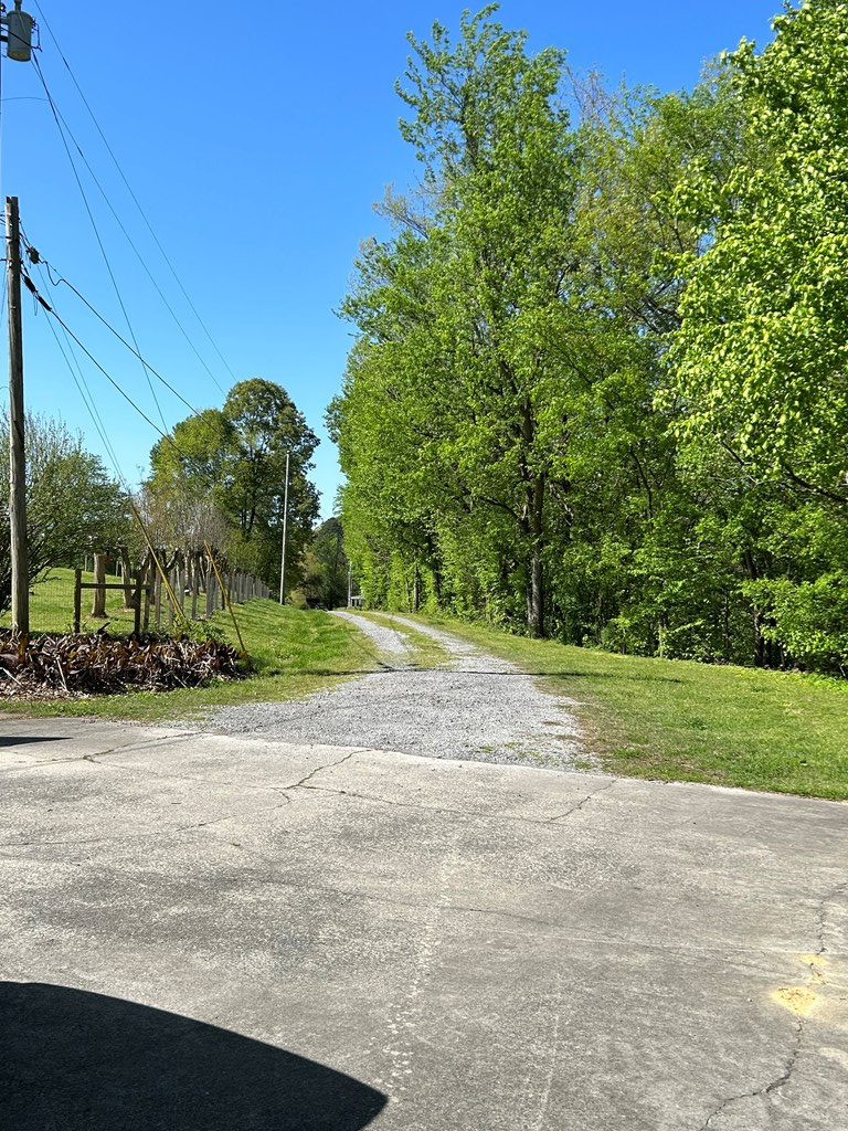 Gallery Image 6